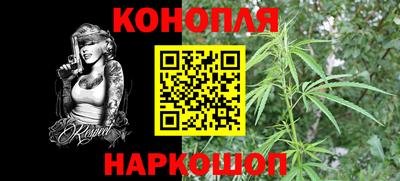 ECSTASY Новозыбков