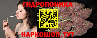 ECSTASY Новозыбков
