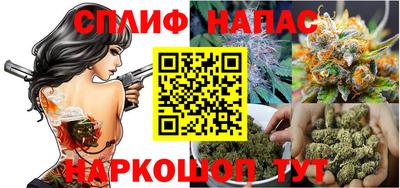 ECSTASY Новозыбков