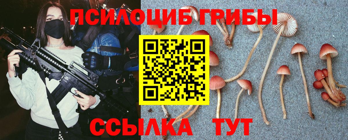 Оренбург  Галлюциногенные грибы мицелий  Вход с VPN 