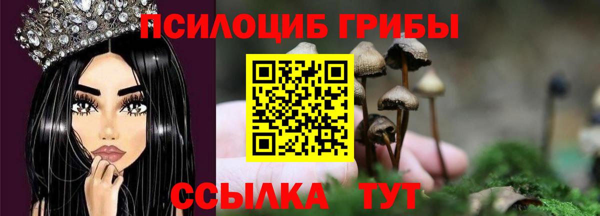 Псилоцибиновые грибы GOLDEN TEACHER Оренбург